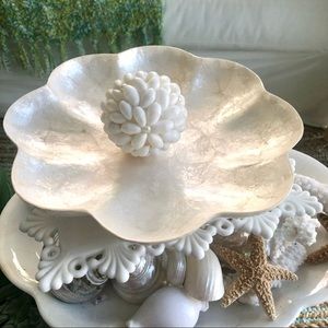 New! Beautiful Capiz Scallop Seashell Serving Bowl Display Bowl